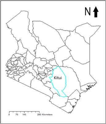 Ambivalent Assets: The Success of Sand-Storage Dams for Rainwater Harvesting in Kitui County, Kenya